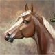 Epona