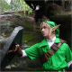 Link