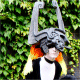 Midna