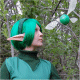 Saria