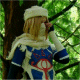 Sheik